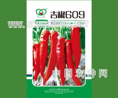 吉椒609